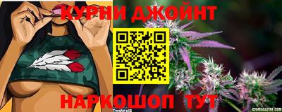 индика Ливны