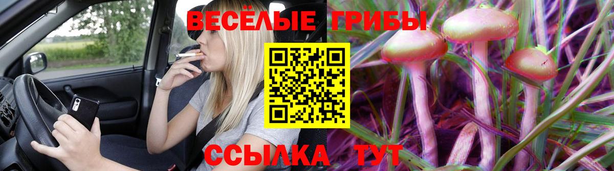 Анжеро-Судженск  Псилоцибиновые грибы Psilocybe  Псилоцибиновые грибы ЛСД  Вход с VPN 